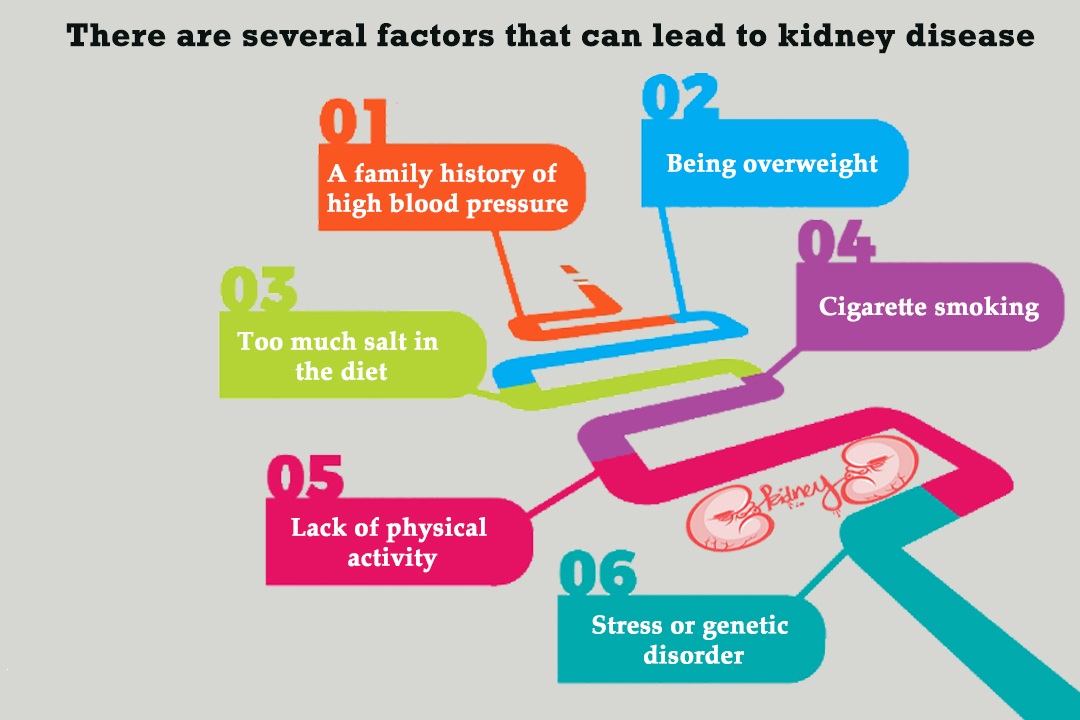 How-Kidney-Disease-Cause-Hypertension